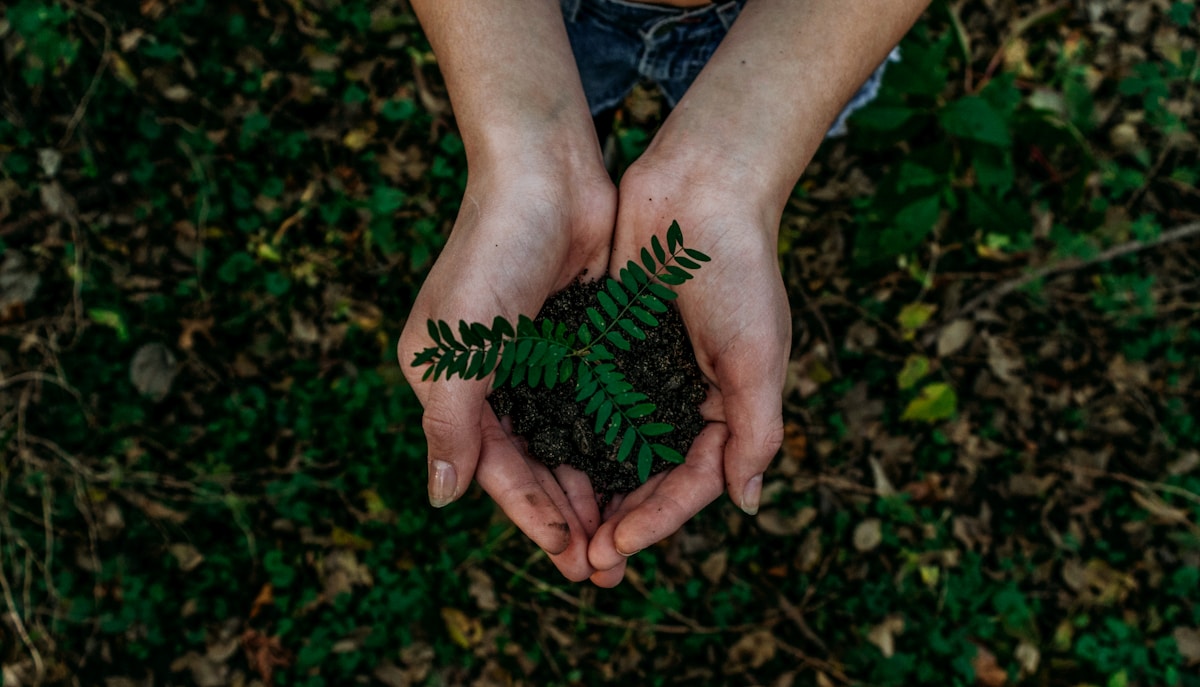 Green event planning Germany